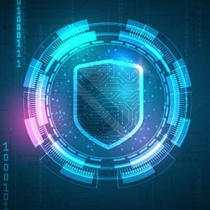 Protecting Digital Assets a Must for Modern Businesses